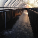 Fresh Shrimp USA LLC - Fish & Seafood Markets