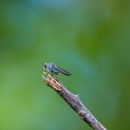 Cahaba Valley Termite & Pest - Pest Control Equipment & Supplies