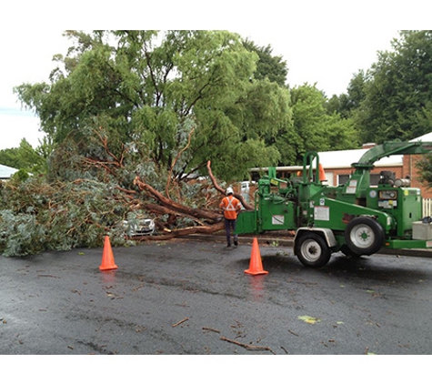 Oliver Shoemark Tree Service Pty Ltd - West Bathurst, NSW