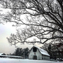 Biltmore Equestrian Ctr - Amusement Places & Arcades