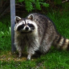 Animal Damage Control