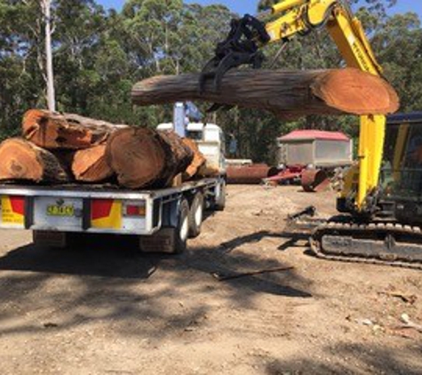 Brady Tree Service Pty Ltd - Kurrajong Heights, NSW