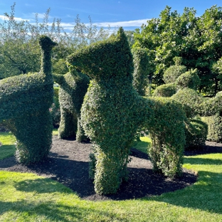 Green Animals Topiary Garden - Portsmouth, RI