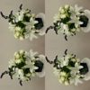 The Petal Cart gallery