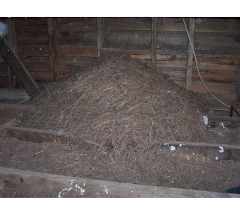 Insulation Removals - Woori Yallock, VIC