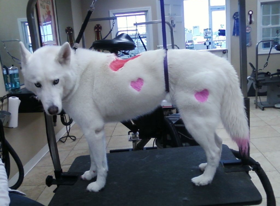 Pawfect Grooming - Southington, CT