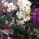 Lolitas Flower Shop - Flowers, Plants & Trees-Silk, Dried, Etc.-Retail