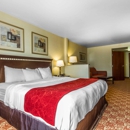 Comfort Suites Vacaville-Napa Valley Area - Motels