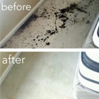 Safe-Dry Carpet Cleaning of The Woodlands
