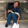 Grafton Animal Hospital gallery