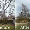 4 Seasons Tree Service gallery