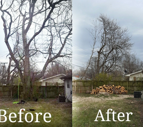 4 Seasons Tree Service - Springfield, MO. Tree Removal
Dying Big Maple tree that we removed, it was growing between the house and power lines.
#treeservice #arborist