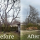 4 Seasons Tree Service