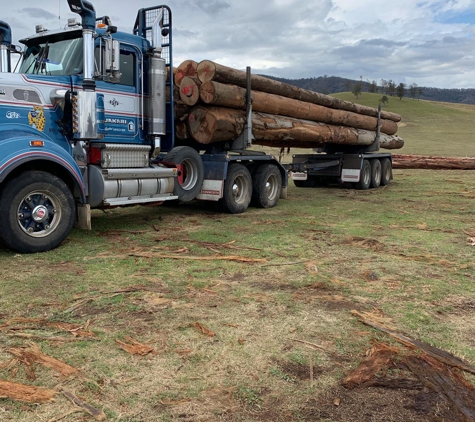 Long Flat Timbers - Yarras, NSW