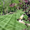 Augusta Lawns LLC gallery