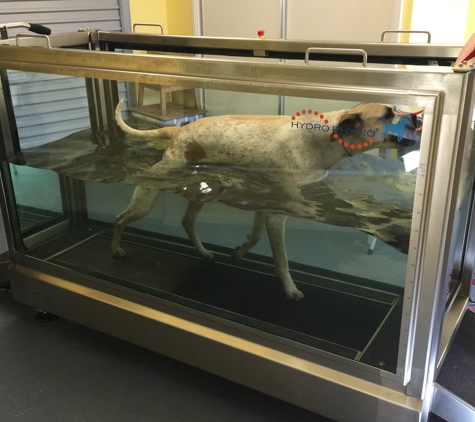 PetFocus Vetcare - Lavington, NSW