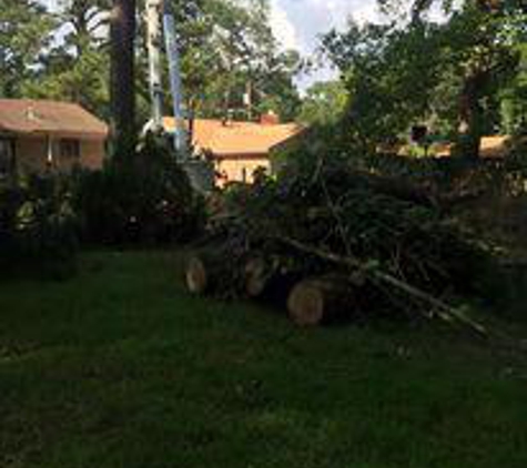 Mid State Tree Service - Pearl, MS