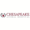 Chesapeake Animal Hospital gallery