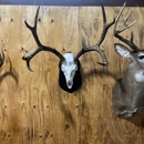 Daddy D Taxidermy - Taxidermists