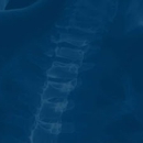 McRee, Peter, DC - Chiropractors & Chiropractic Services