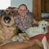 Cyndi's Dog Sitting (pet sitting in YOUR home) gallery