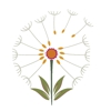Wild Core Wellness gallery