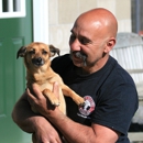 Weston Boarding Kennels - Pet Services