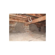 Gallery Image Number 4