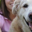 Lucy's Dream Pet Sitting - Pet Boarding & Kennels
