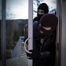 home security associates - Computer Security-Systems & Services