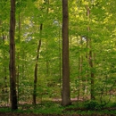 Sacred Grove - Historical Places