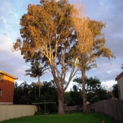 Gallery Image Number 2