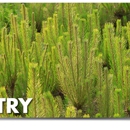 Horticultural Alliance - Landscape Designers & Consultants