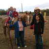 Trailhead Ranch Equestrian Center gallery