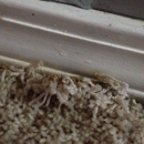 Actually Clean - Fire & Water Damage Restoration