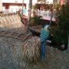 Lighthouse Resort Inn & Suites gallery