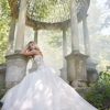 Princess & Penguin Formal Wear gallery