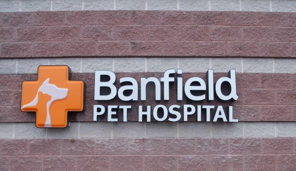 Banfield Pet Hospital - Paramus, NJ