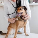 Mountain View Veterinary Hospital - Veterinarians