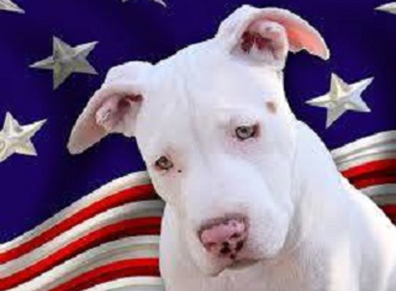 All American Pets, Inc. - Baltimore, MD