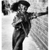Embers to Ashes Chimney Sweeps and Masonry gallery