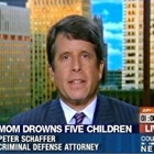 Peter J Schaffer Atty