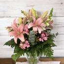 The Flower Box - Plants