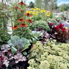 Paisley Gardens