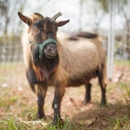 Hux Family Farm - Farms