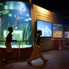 South Florida Science Center and Aquarium gallery