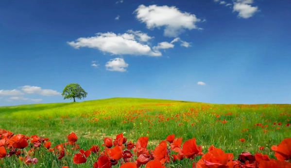 Lady Rose Funerals - Bowral, NSW