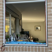 Gallery Image Number 2