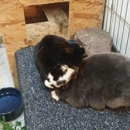 Warner Avenue Animal Hospital - Veterinarians