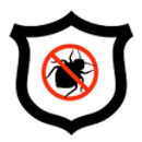 Bee Bat & Bird Men - Bee Control & Removal Service